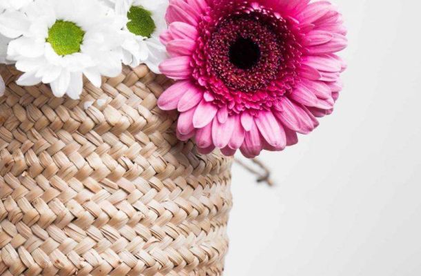 Ideas para capazos personalizados originales